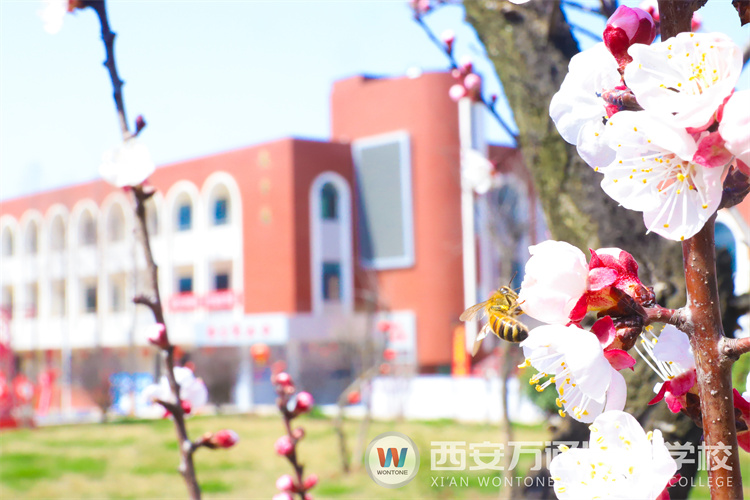 “元素周期表”中寻找西安万通关键词！